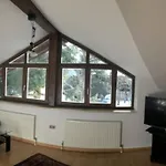 Am Schilf Xl